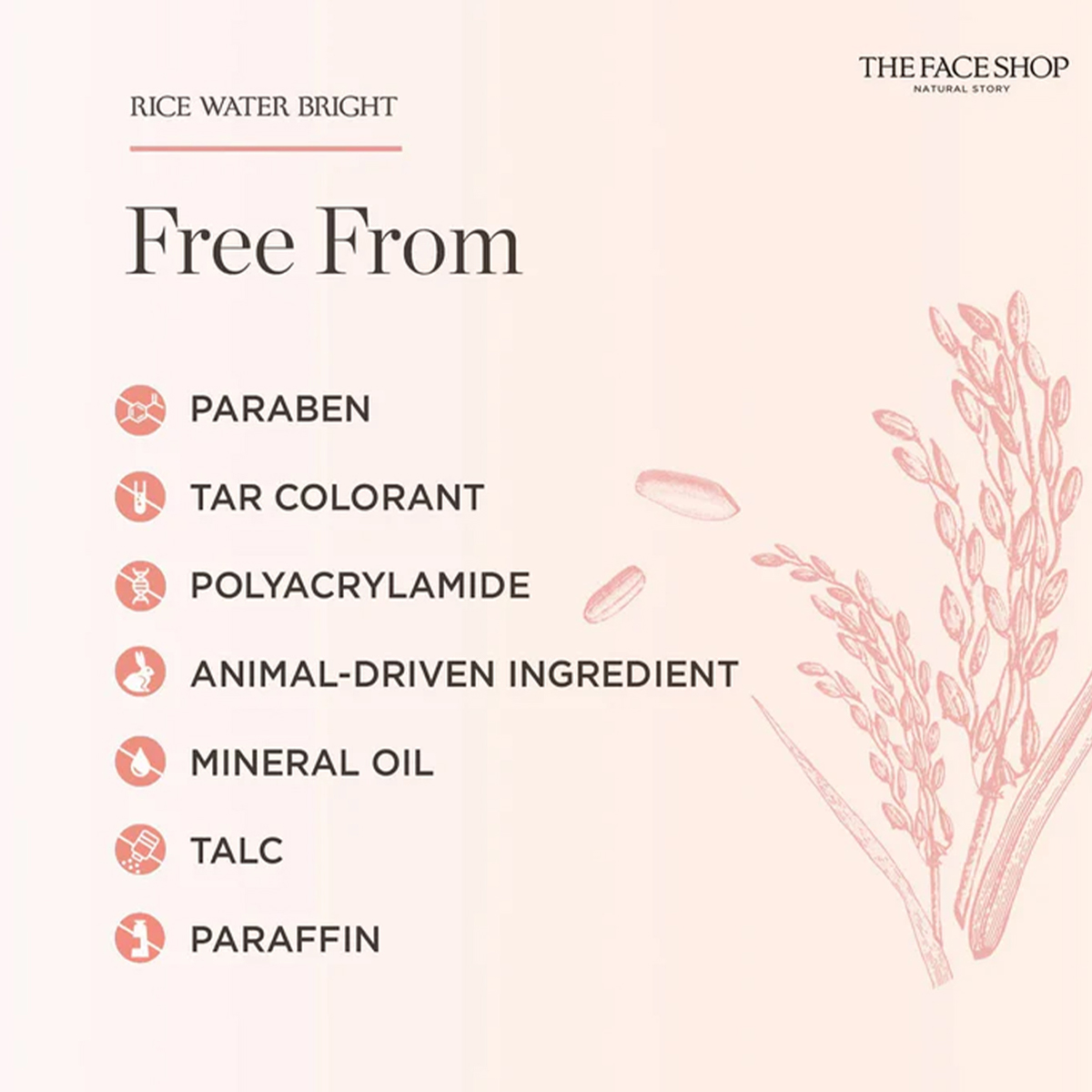 THE FACE SHOP RICE WATER BRIGH – обзор и цена Luxury Skincare Cleanser